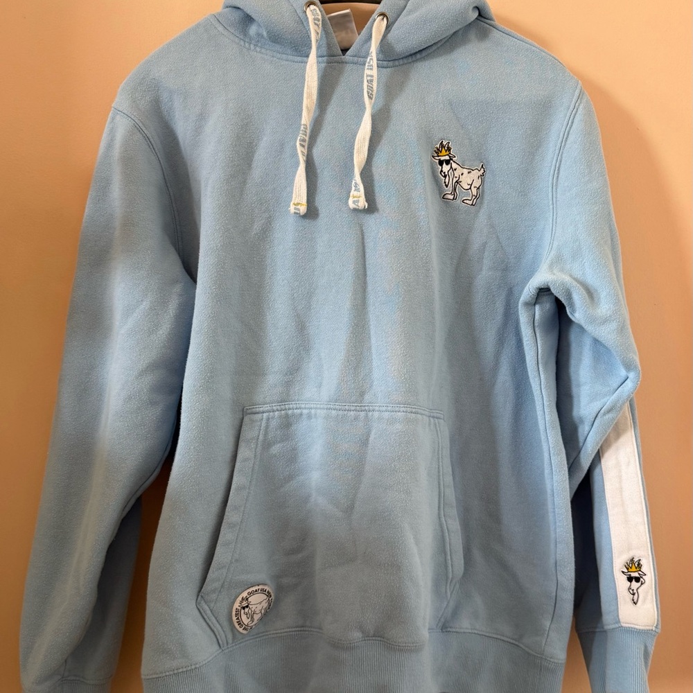 Light Blue Hoodie with Embroidered Design